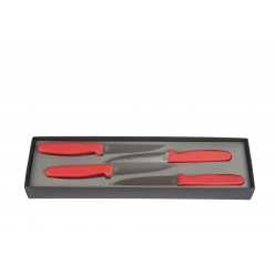 Orman Lezzetleri̇ Sebze/Meyve Biçaği Kirmizi 4'Lü Set